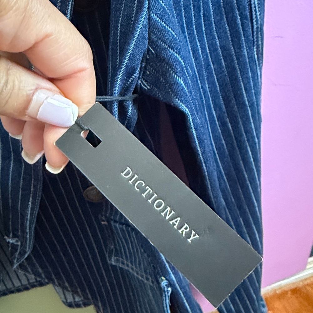 Denim Blue Pinstripe Jacket by Dictionary - Picture 6 of 8